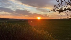 12-Coucher-du-soleil