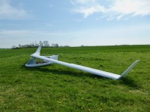 P1050686-Swift-3
